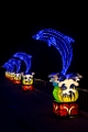 Illuminasia050