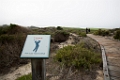 PebbleBeach011