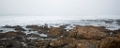 PebbleBeach013