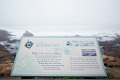 PebbleBeach019