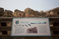 PebbleBeach023