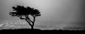 PebbleBeach025
