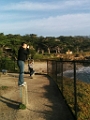 PebbleBeach042