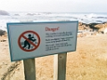 PebbleBeach043