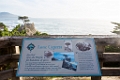 PebbleBeach051
