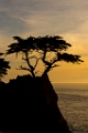 PebbleBeach052