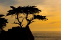 PebbleBeach053