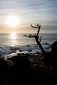 PebbleBeach055