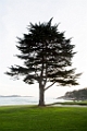 PebbleBeach058