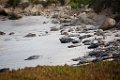 Monterey010