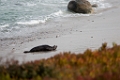 Monterey011