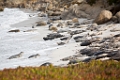 Monterey012