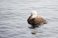 Monterey024