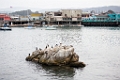 Monterey025