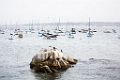 Monterey027