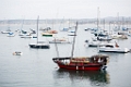 Monterey033