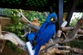 Zoo016