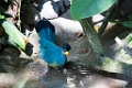 Zoo044