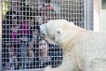 Zoo068