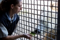 Zoo069