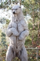 Zoo078
