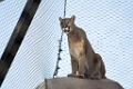 Zoo080