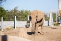 Zoo082