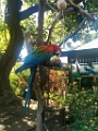 Zoo085