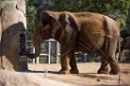 Zoo087