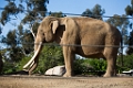 Zoo088