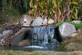 SafariPark009