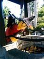 LegoLand042