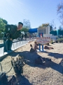 LegoLand080