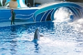 SeaWorld003