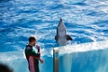 SeaWorld004