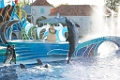 SeaWorld005