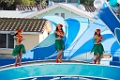 SeaWorld007