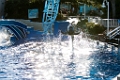 SeaWorld012