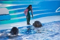 SeaWorld014