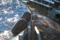 SeaWorld015