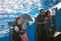SeaWorld016