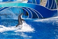 SeaWorld021