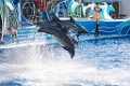 SeaWorld022