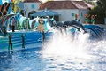 SeaWorld023