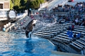 SeaWorld024