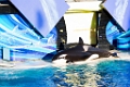 SeaWorld031