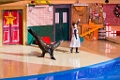 SeaWorld039