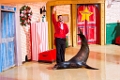SeaWorld040
