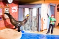 SeaWorld044