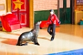 SeaWorld045